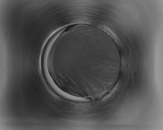 X0000091890788200709261638