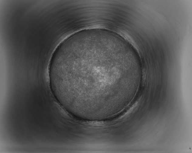 X0000091890789200709261638