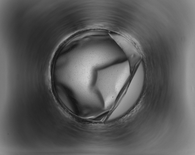 X0000091890792200709261638