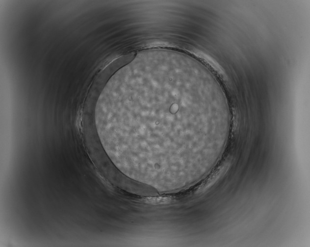 X0000091890793200709261638