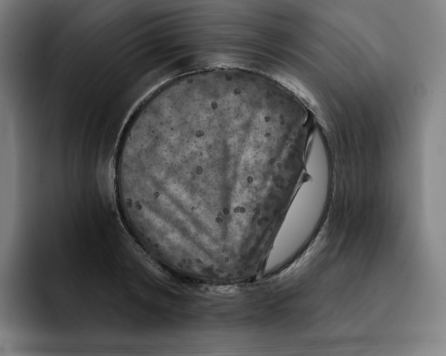 X0000091890798200709261638