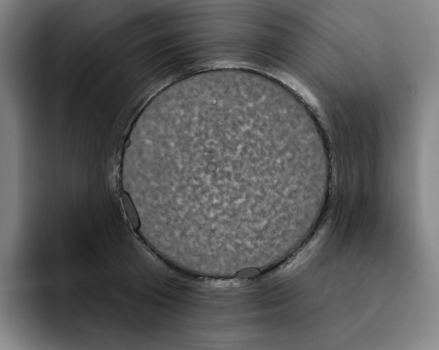 X0000091890801200709261638