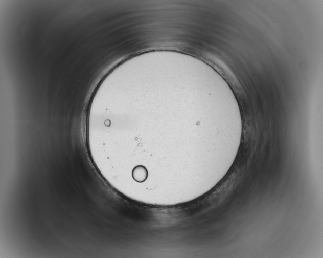 X0000091890804200709261638