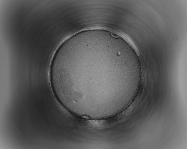 X0000091890805200709261638