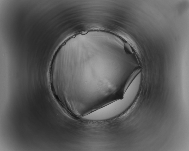 X0000091890806200709261638