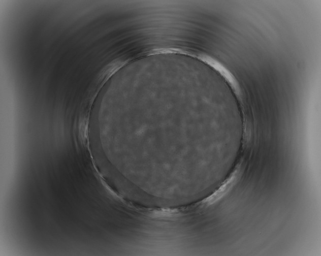 X0000091890809200709261638