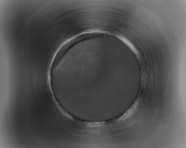 X0000091890813200709261638