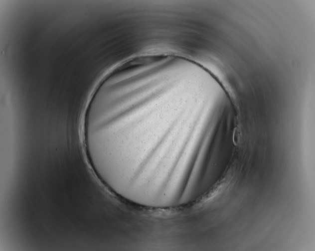 X0000091890815200709261638