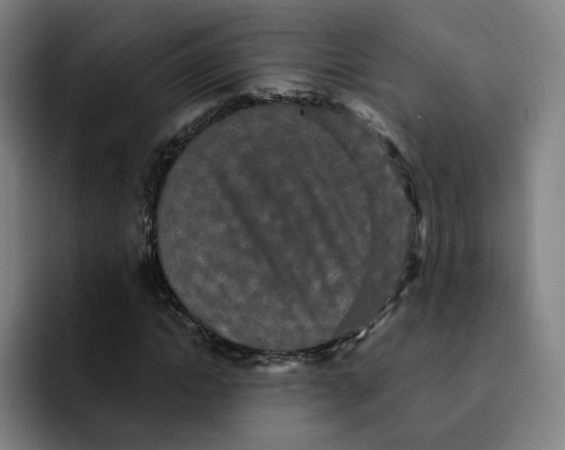 X0000091890822200709261638