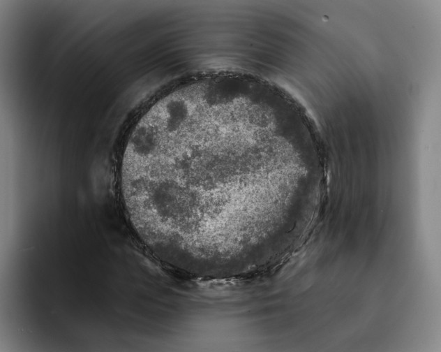 X0000091890823200709261638