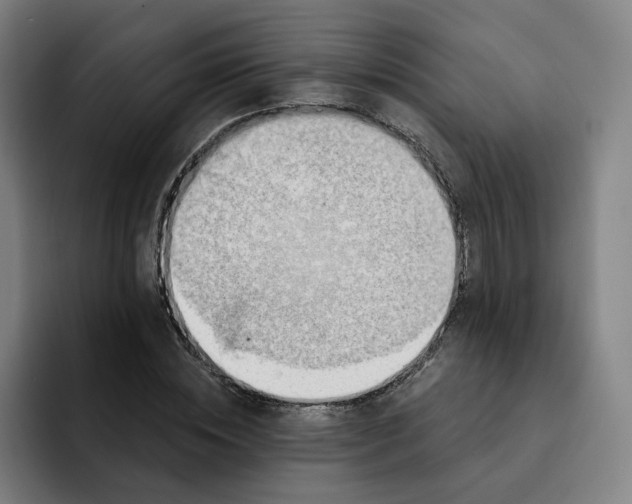 X0000091890828200709261638