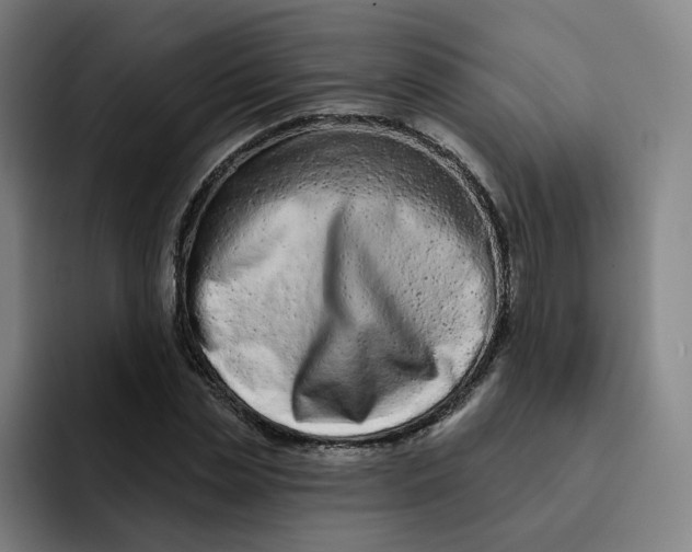 X0000091890829200709261638