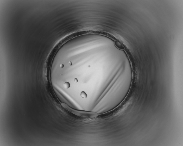 X0000091890830200709261638