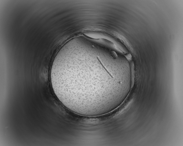 X0000091890833200709261638