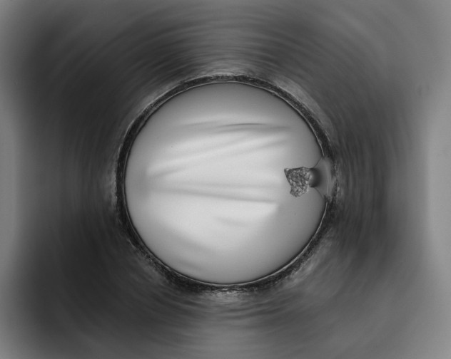 X0000091890834200709261638