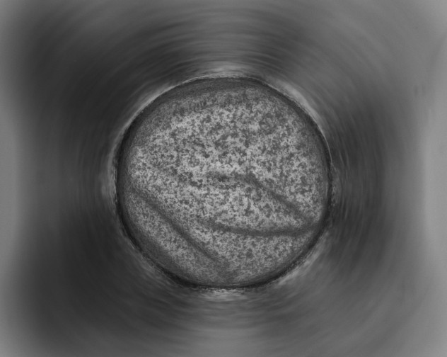 X0000091890835200709261638