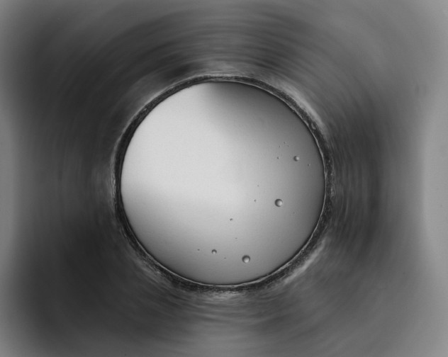 X0000091890837200709261638