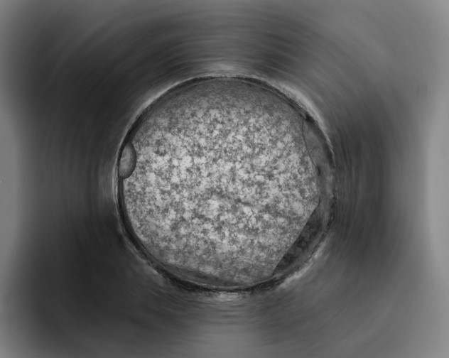 X0000091890839200709261638