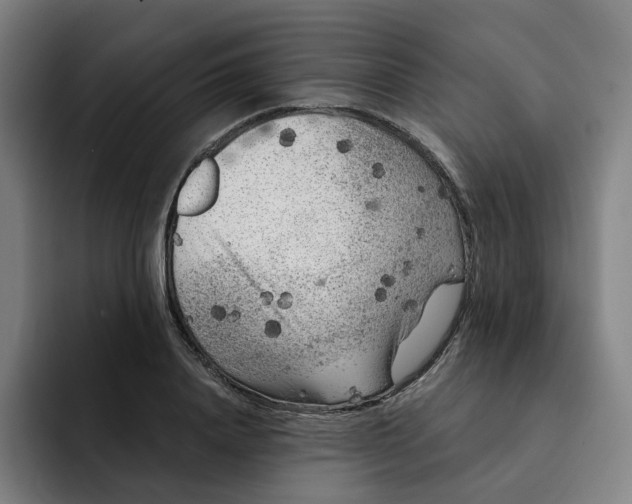 X0000091890840200709261638