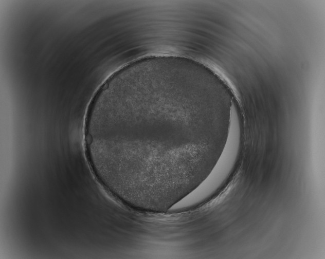 X0000091890845200709261638