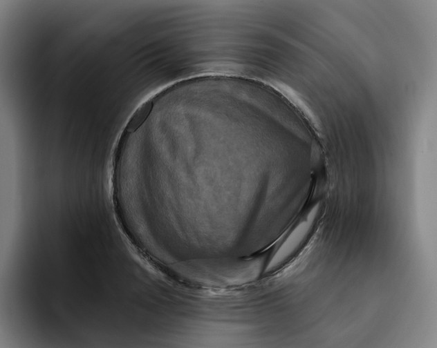 X0000091890846200709261638