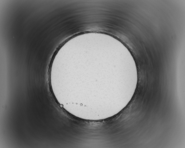 X0000091890848200709261638