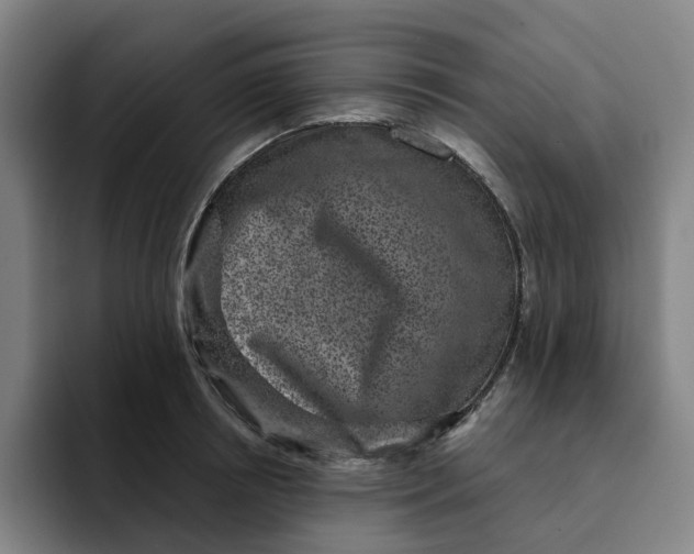 X0000091890850200709261638