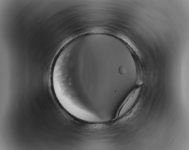 X0000091890853200709261638