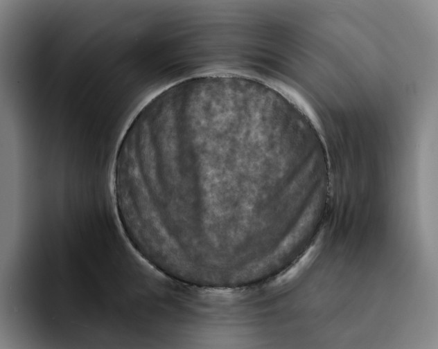 X0000091890855200709261638