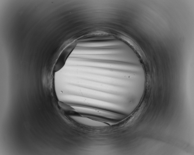 X0000091890858200709261638