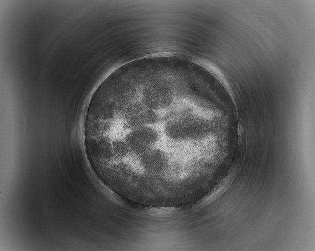 X0000091890859200709261638