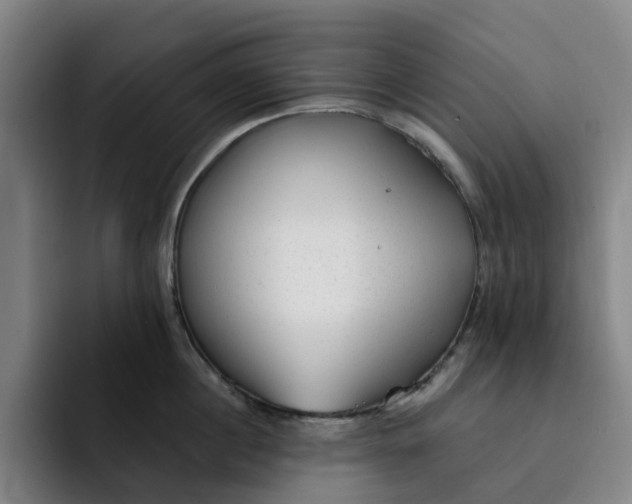 X0000091890860200709261638