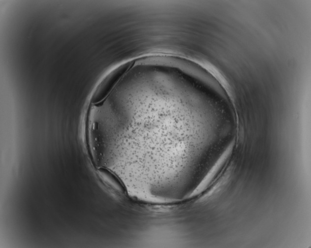 X0000091890862200709261638