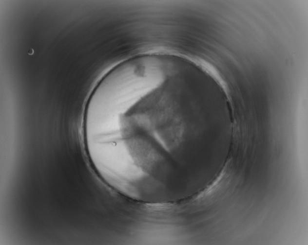 X0000091890863200709261638