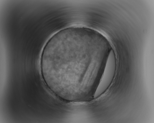 X0000091890864200709261638