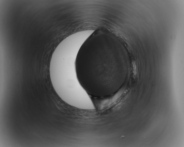 X0000091890868200709261637