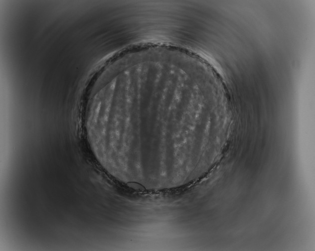 X0000091890872200709261637