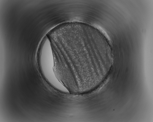 X0000091890876200709261637