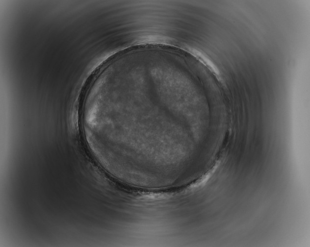 X0000091890877200709261637