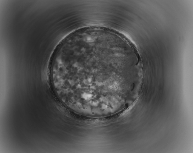 X0000091890879200709261637