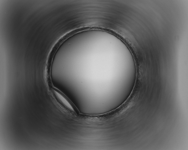 X0000091890880200709261637