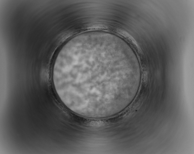 X0000091890882200709261637