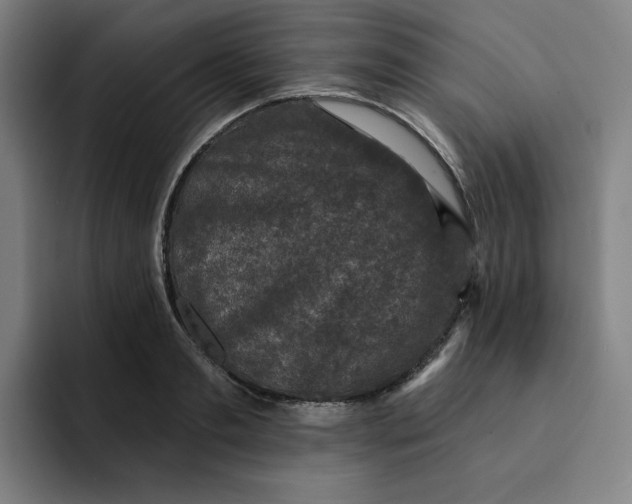 X0000091890893200709261637