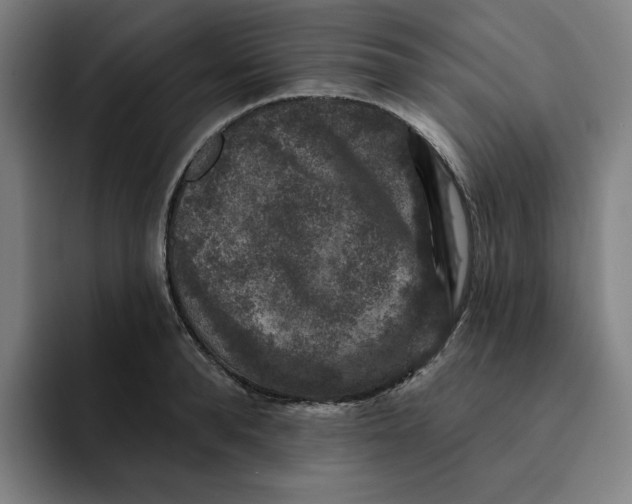 X0000091890896200709261637