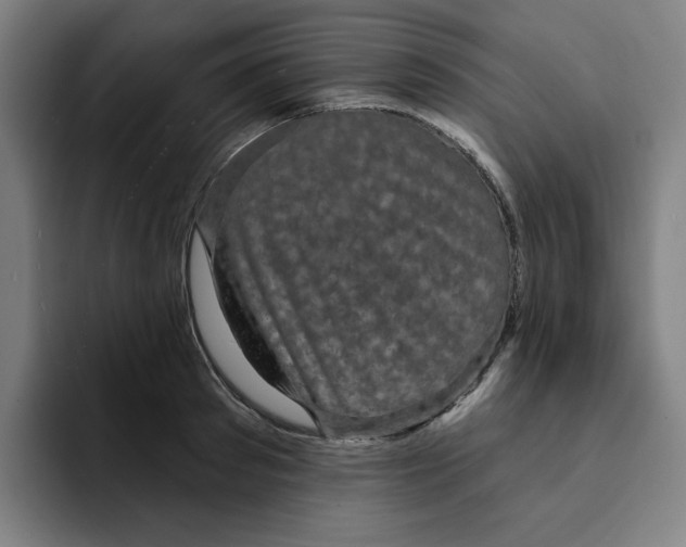 X0000091890897200709261637