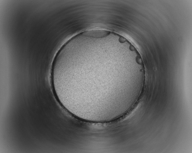 X0000091890901200709261637