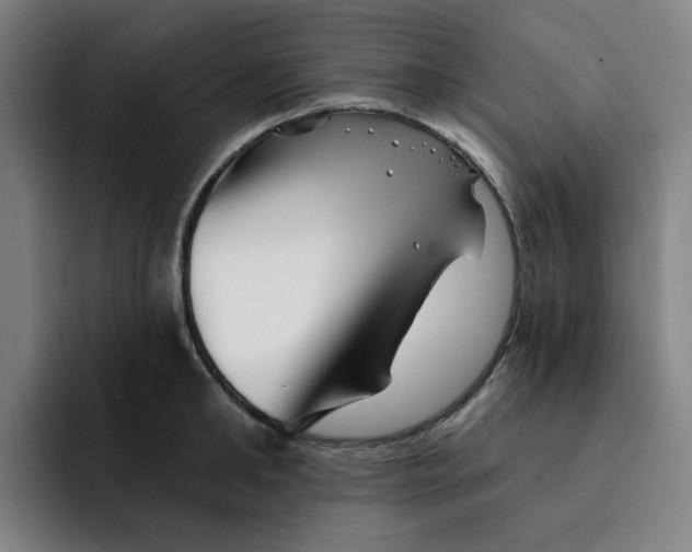 X0000091890902200709261637