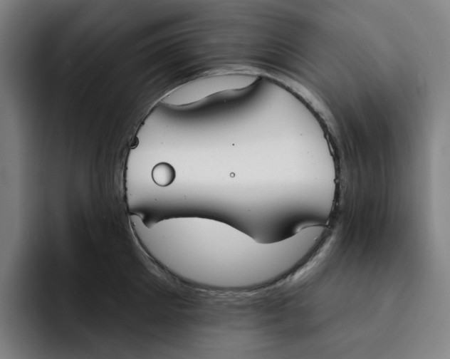 X0000091890905200709261637