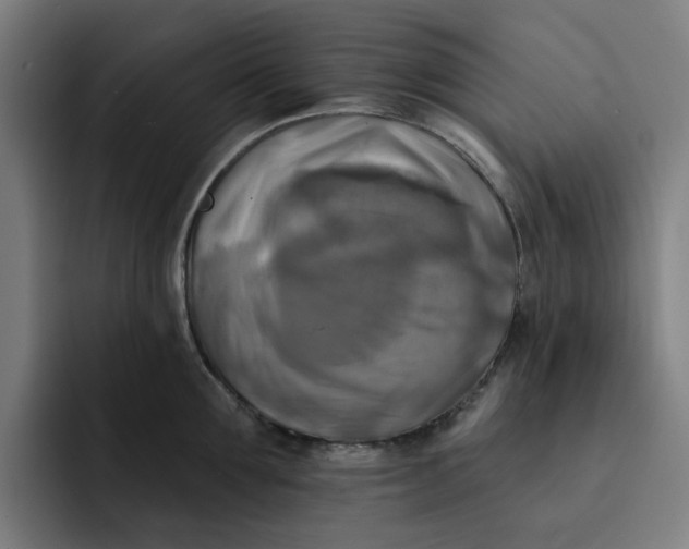 X0000091890907200709261637