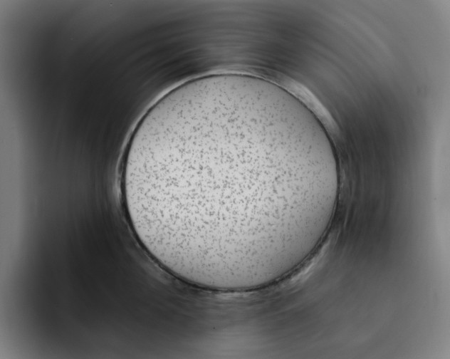 X0000091890908200709261637